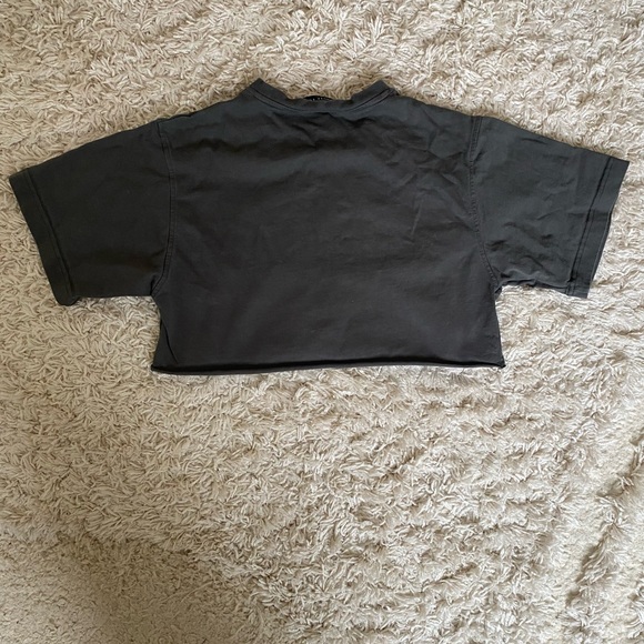 White Fox Gray Crop Top T-Shirt - Picture 5 of 5